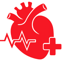 Heart & Cardiovascular Support