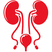 Kidney & Urinary Tract Health
