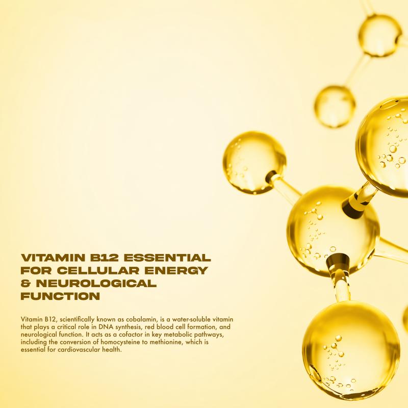 Vitamin B12 2000mcg Methylcobalamin B12