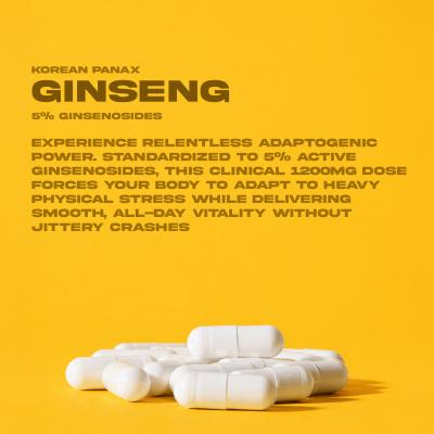 Korean Panax Ginseng 1200mg