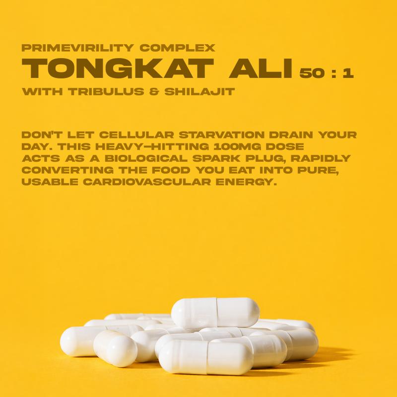 Tongkat Ali With Tribulus & Shilajit