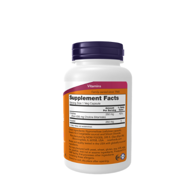 Now Foods, Choline & Inositol, 500 mg, 100 Capsules