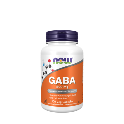 Now Foods GABA 500mg Veg Capsule