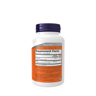 Now Foods GABA 500mg Veg Capsule