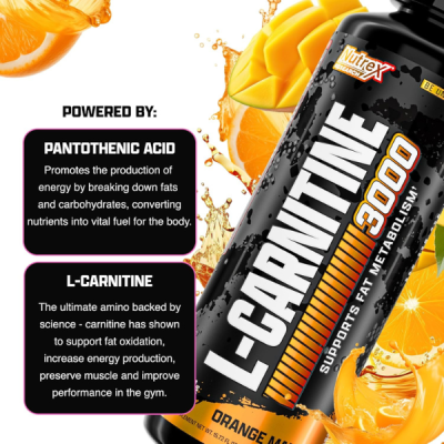 Nutrex Research Liquid Carnitine 3000 L Carnitine Liquid 31 Servings
