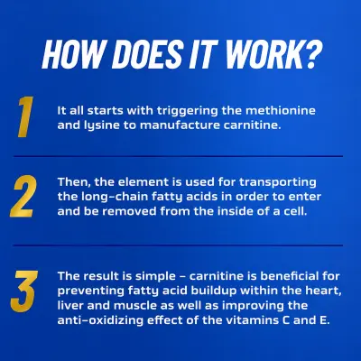 Ronnie Coleman L-Carnitine XS Liquid 3,000MG
