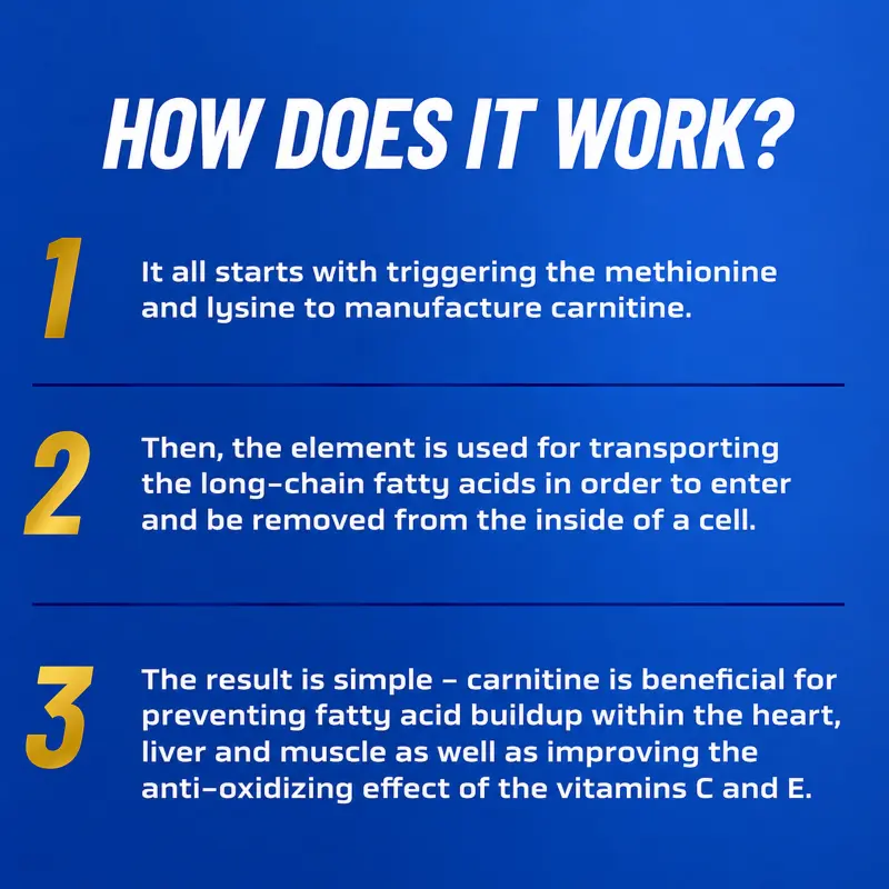 Ronnie Coleman L-Carnitine XS Liquid 3,000MG